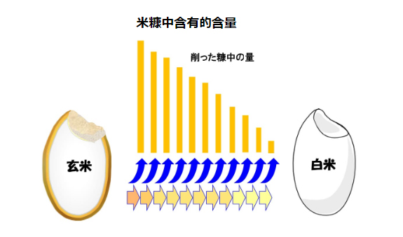 食用植物所含泛菌糖脂质