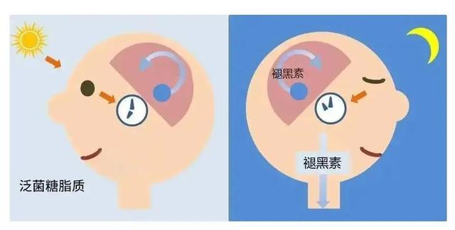 你也有睡眠障碍吗?