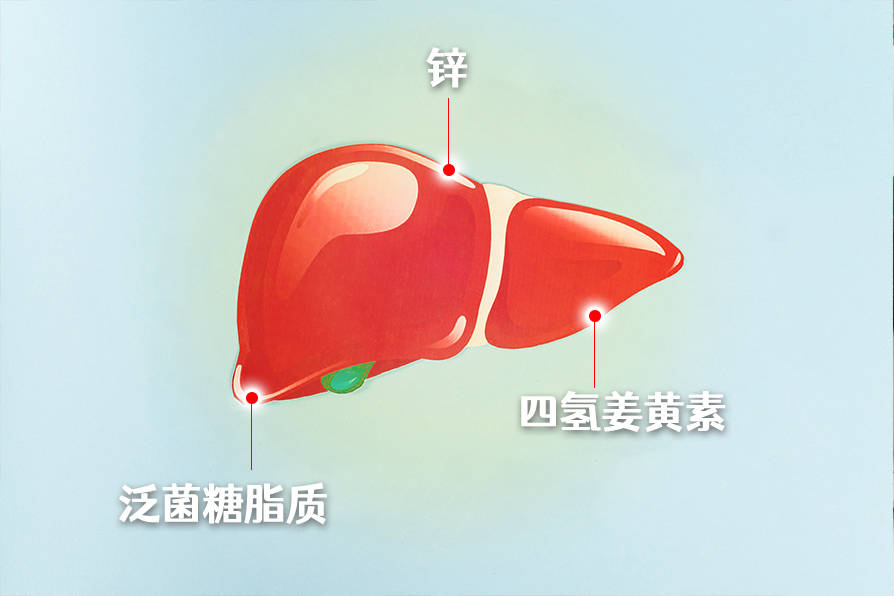 养好肝脏很简单，饮食注意这四点 