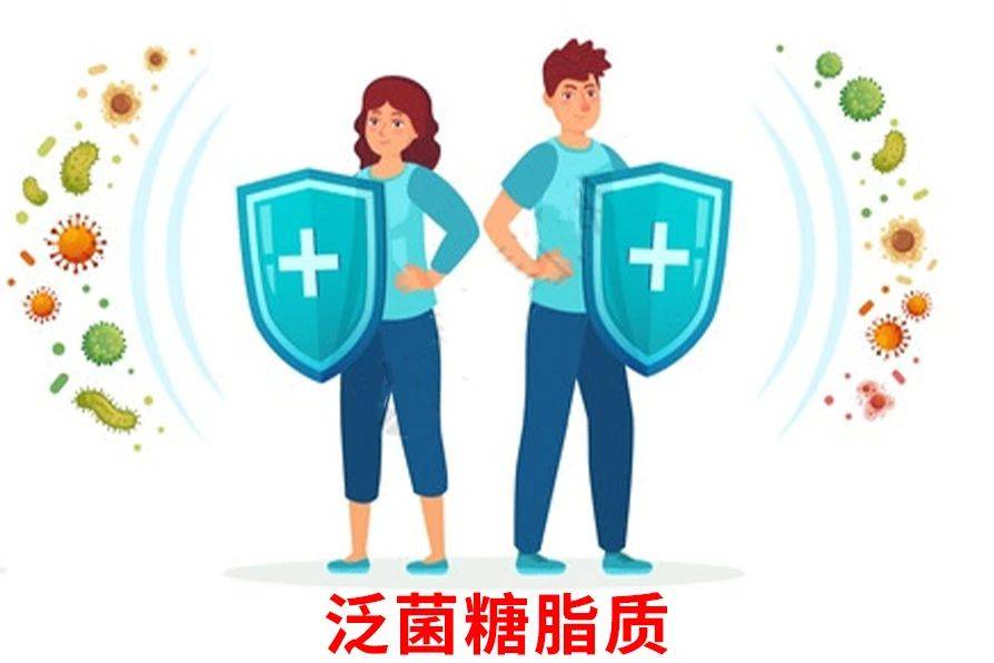 丙球蛋白对新冠没用，真不用囤…… 