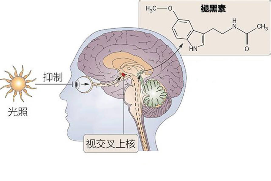 睡不好的原因原来是它！ 