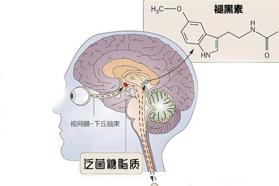 阳过之后总失眠？试试这个方法 