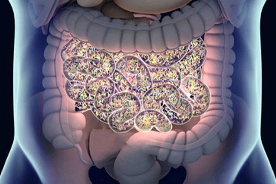 肠道微生态失调了？可以这样调回来