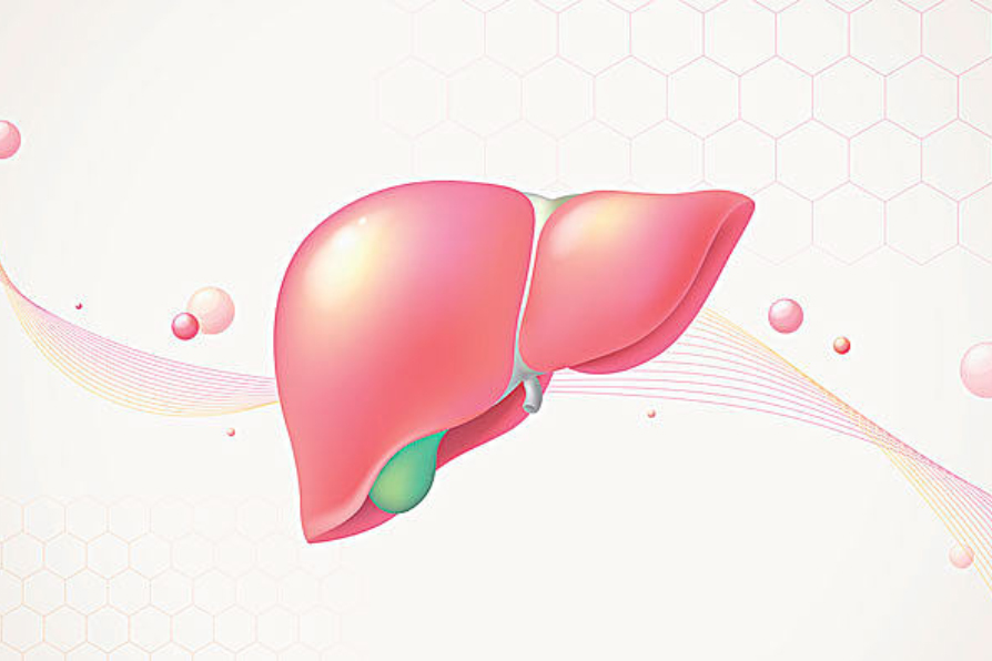 生活中长期护肝的正确方法,Dr.LPS肝动力UP对护肝有效吗？