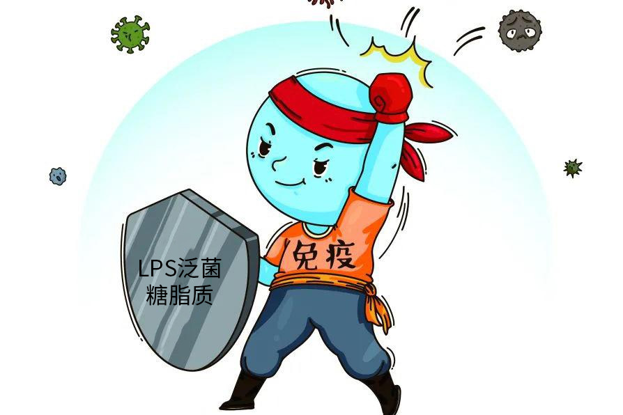 LPS泛菌 糖脂质 .jpg