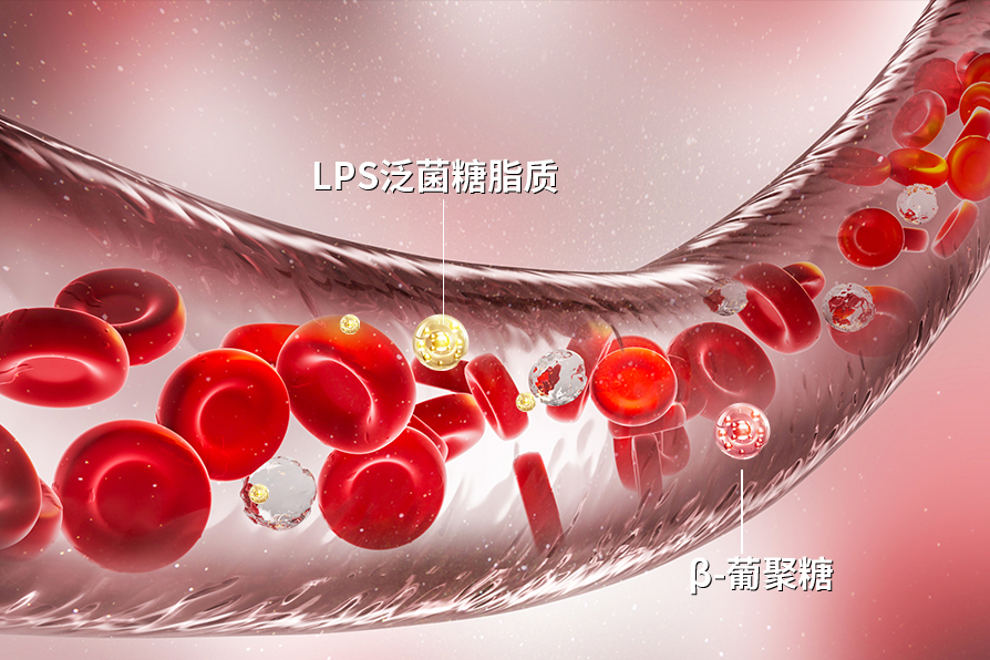 LPS泛菌糖脂质、β-葡聚糖清除血管异物.jpg