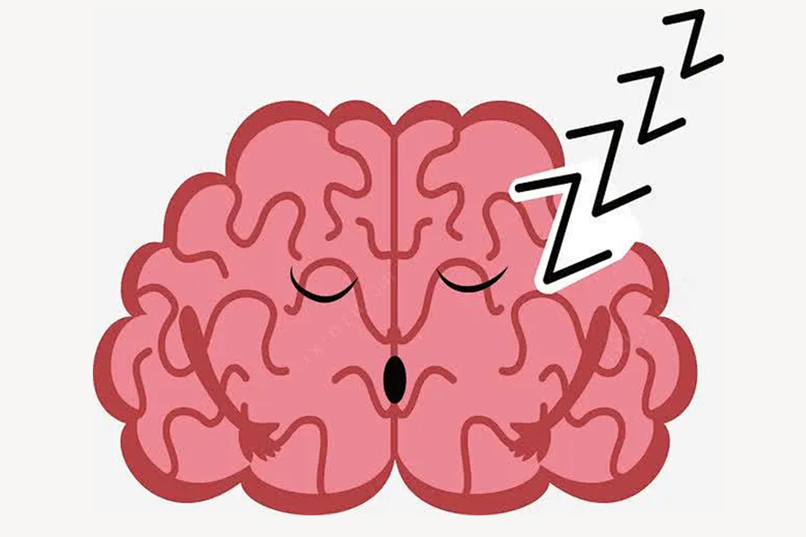 大脑睡眠.jpg