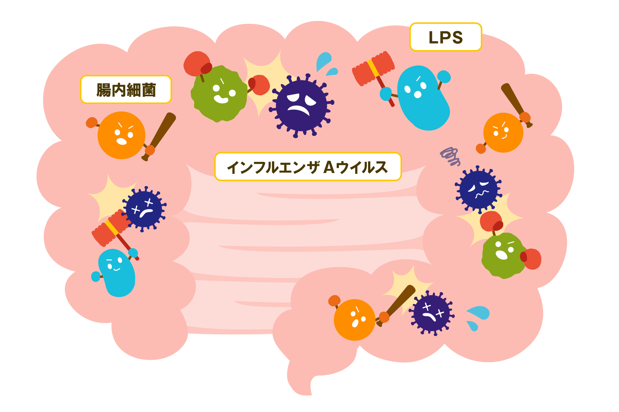 LPS可以预防病毒感染！它真的也能用来预防流感和冠状病毒吗？