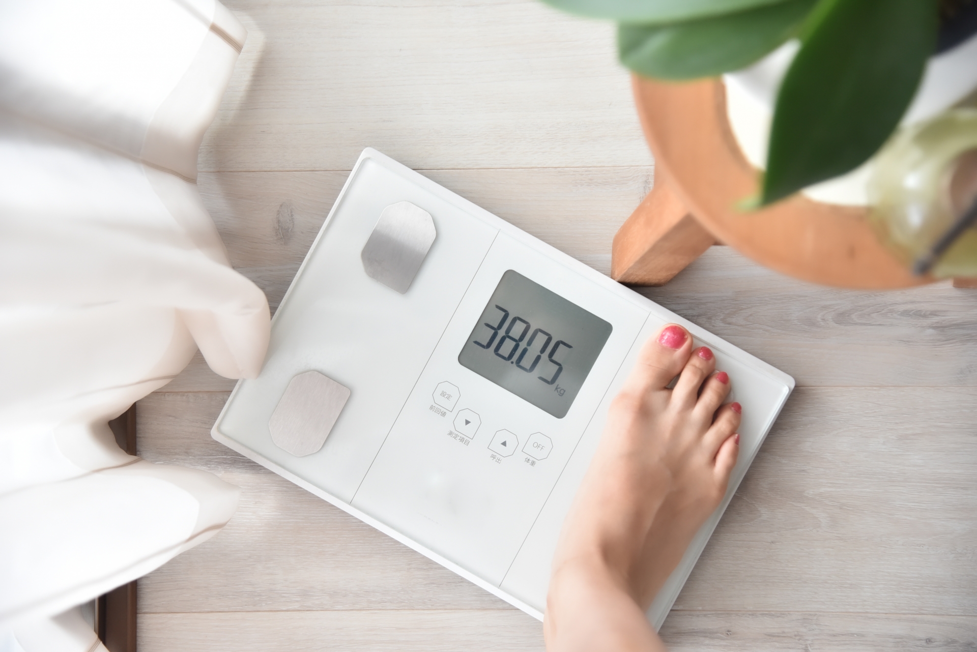 认为摄入LPS会导致肥胖是一种误解！研究表明，它反而可以抑制