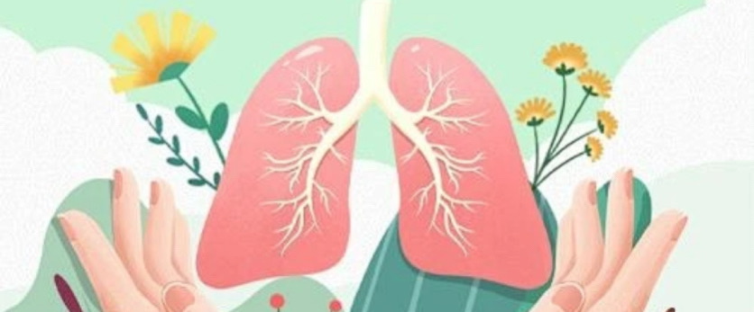 肺泡巨噬细胞：LPS应答与肺部疾病中的组织特异性功能