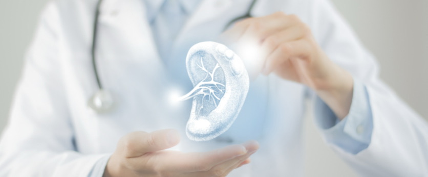 DrLPS肾动力UP科学探源：如何用「肾源动力」守护你的健康