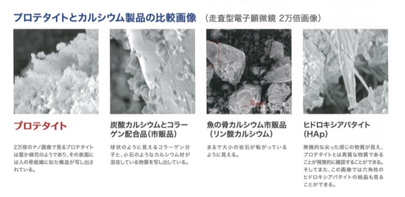 Protetite与普通钙制品的对比图像.png