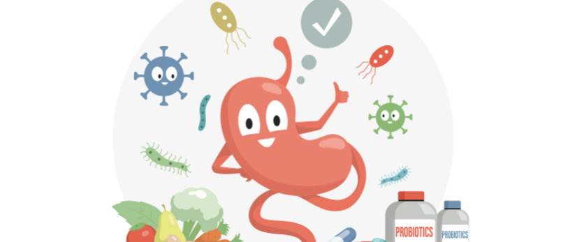 口服LPS泛菌糖脂质维持肠道免疫系统稳态的机制