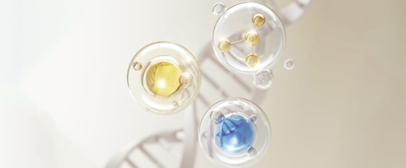 关于LPS泛菌糖脂质的多样性，以及在体内给药和经口给药中的不