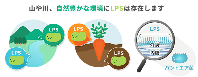LPS自然环境中.png