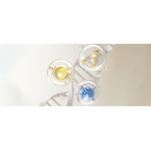 Dr.LPS 老人蛋白营养粉，补充蛋白守护长辈健康